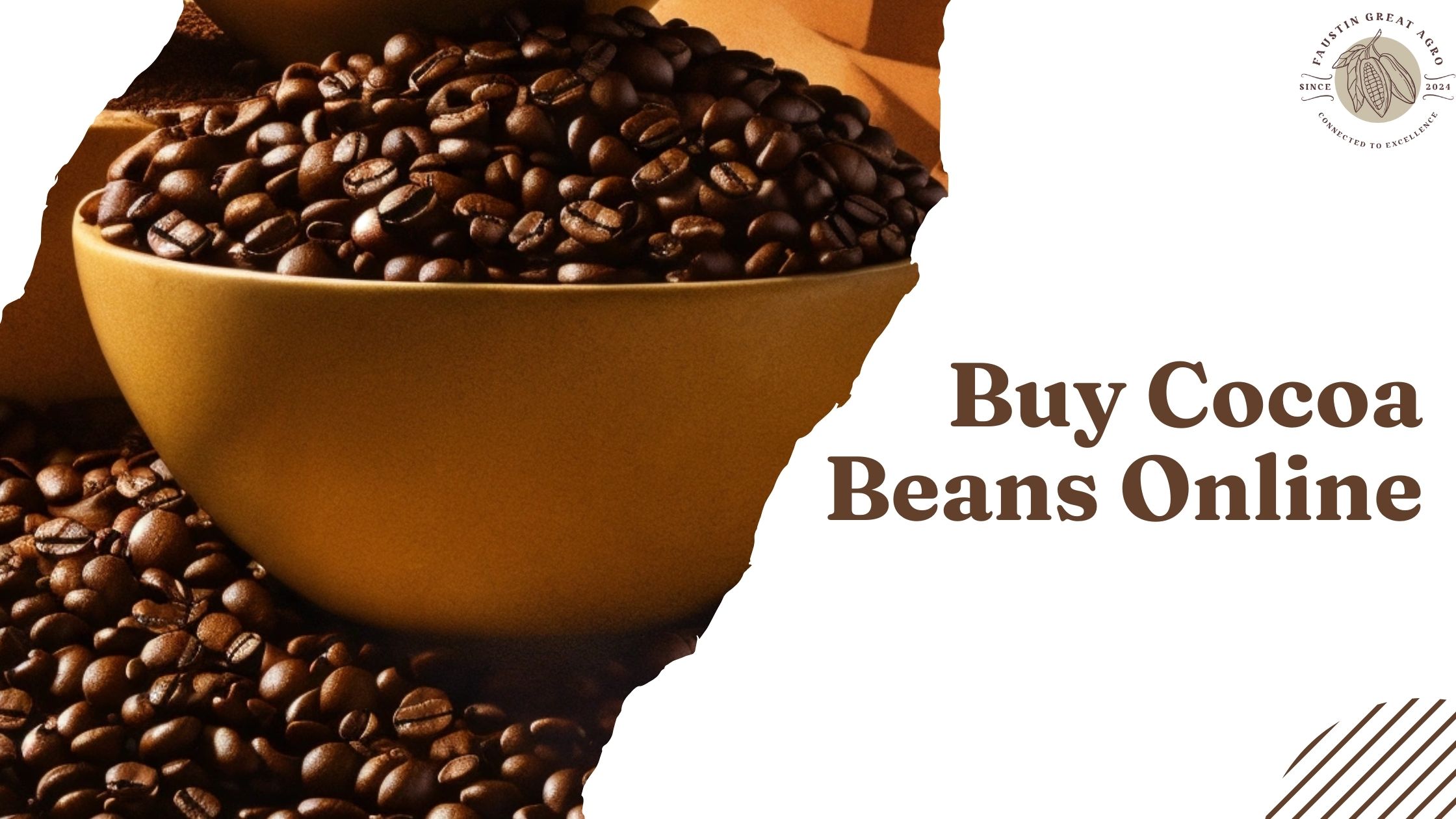 Why Manufacturers Prefer to Buy Cocoa Beans Online from Trusted Exporters